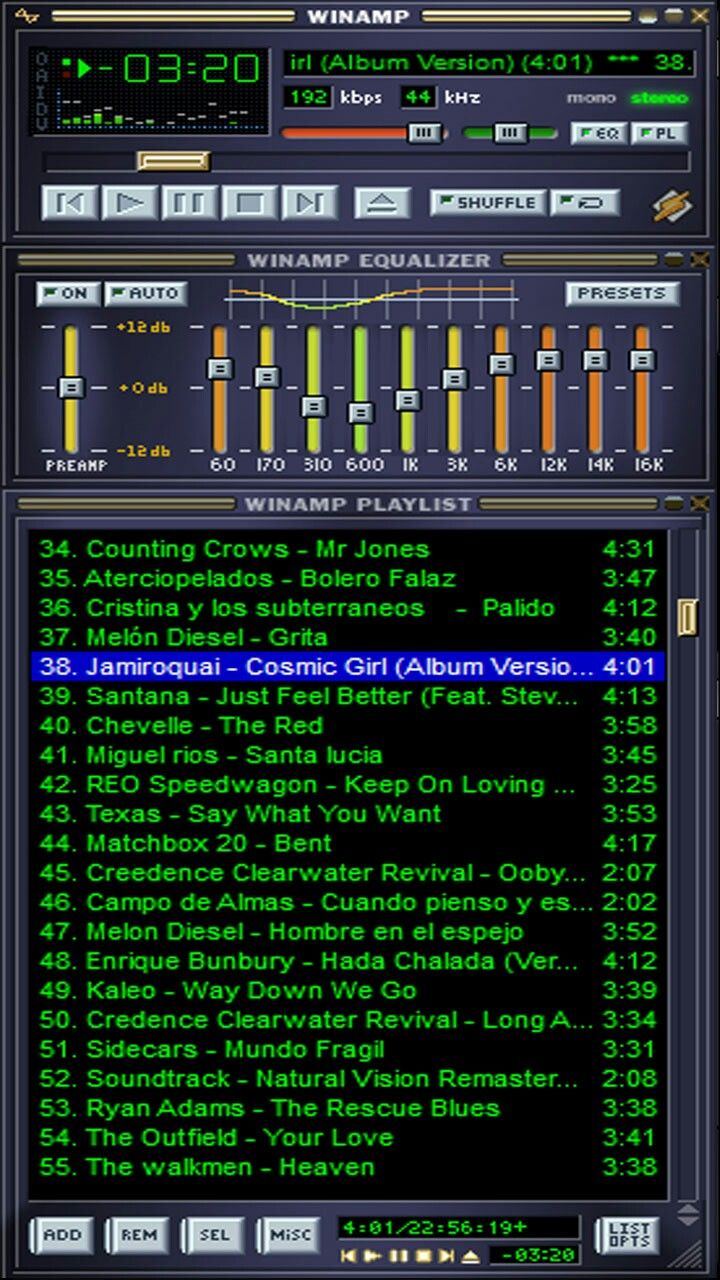 Winamp Playlist Interface