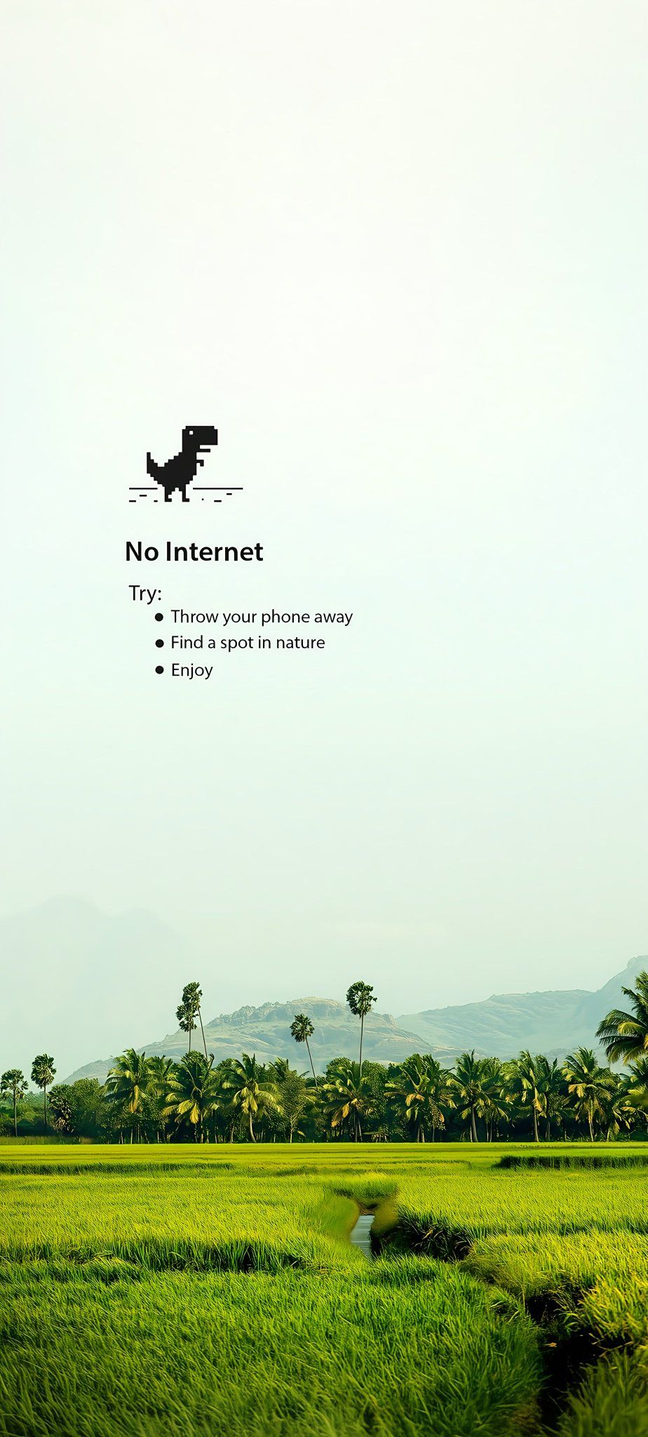 No Internet Prompt