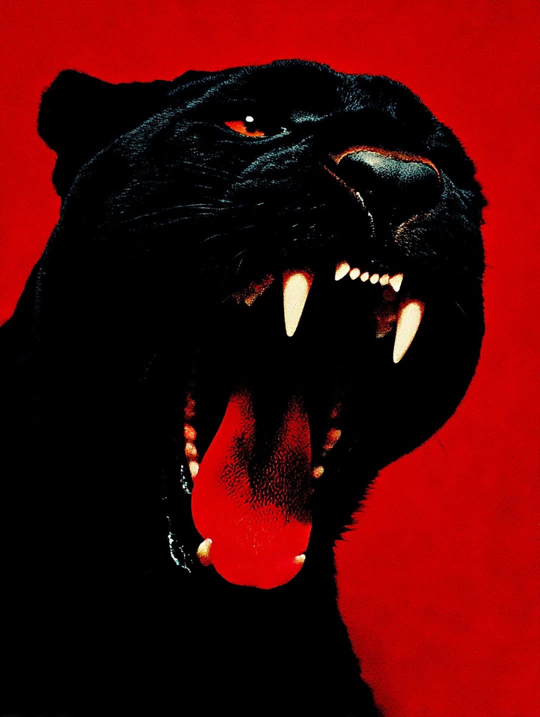 Dark Panther Roaring