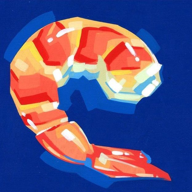 Colorful Shrimp Illustration
