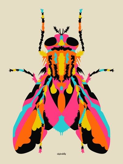 Colorful Insect Art