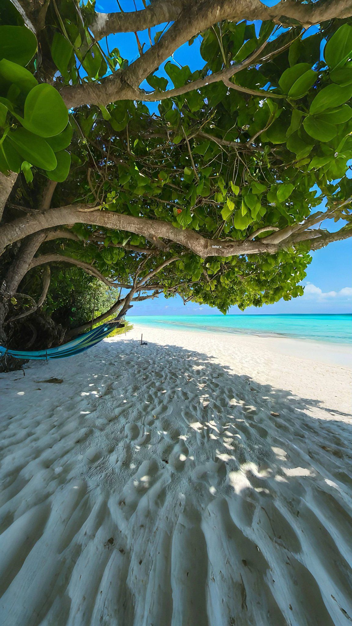 Tropical Paradise Hammock