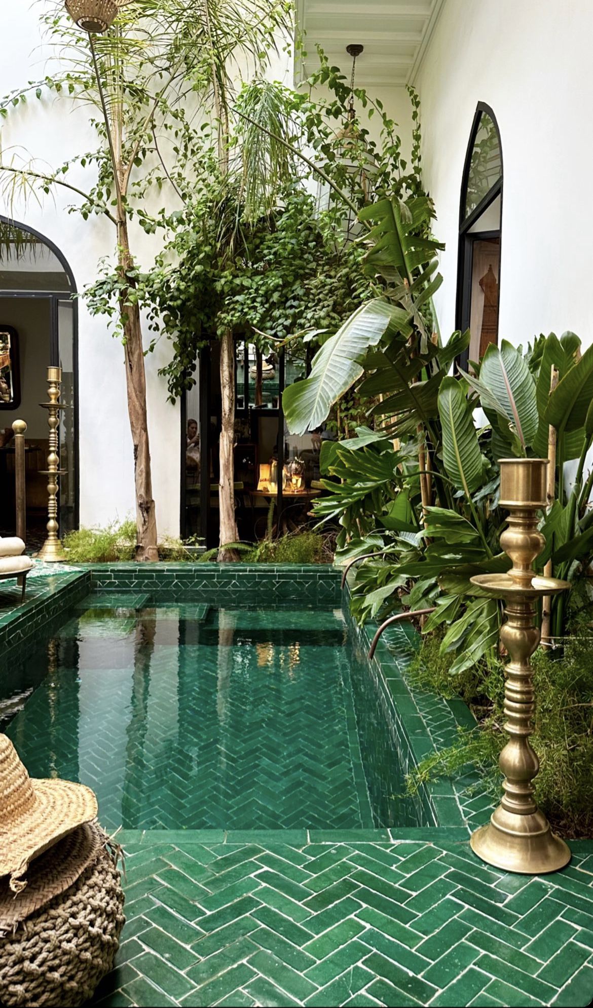 Tropical Oasis Pool