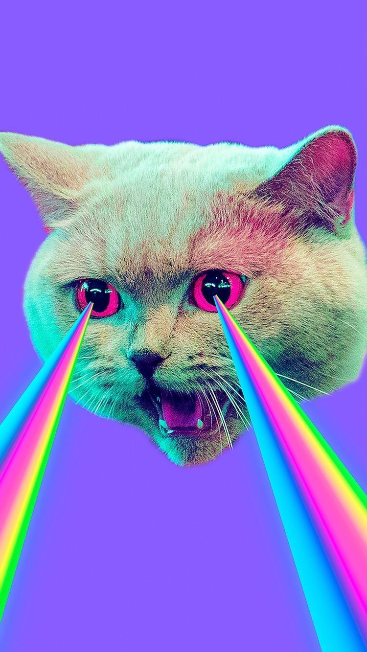 Laser Cat