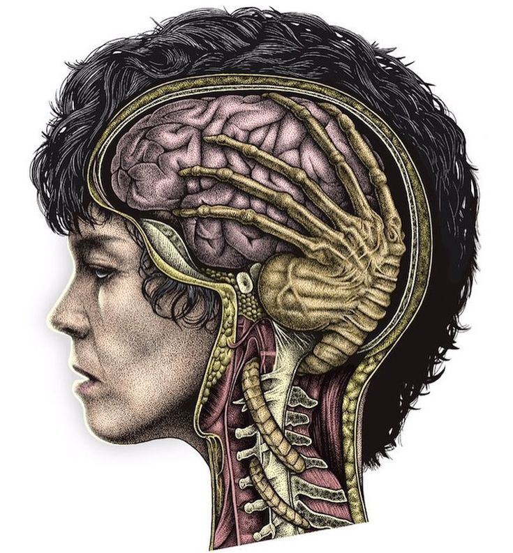 Anatomical Illustration of Human Head with An Alien Facehugger