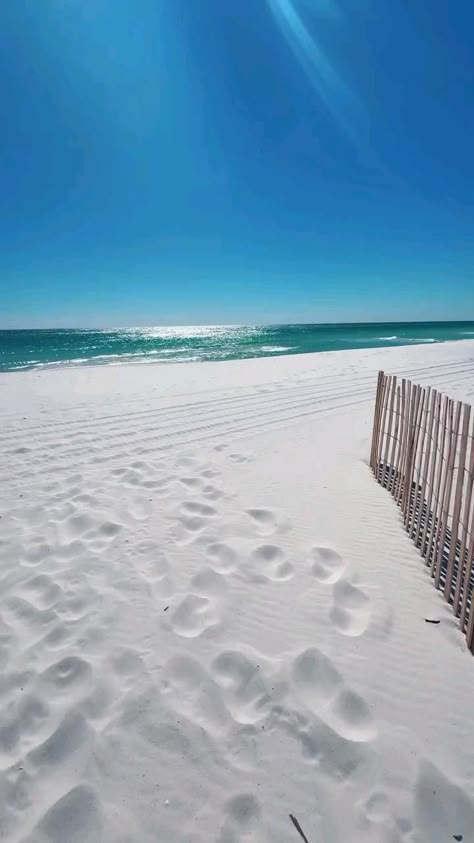 Sunny Beach with White Sand and Ocean
