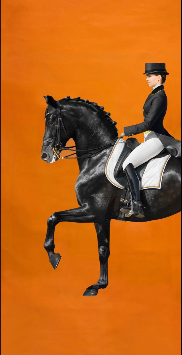 Equestrian Grace