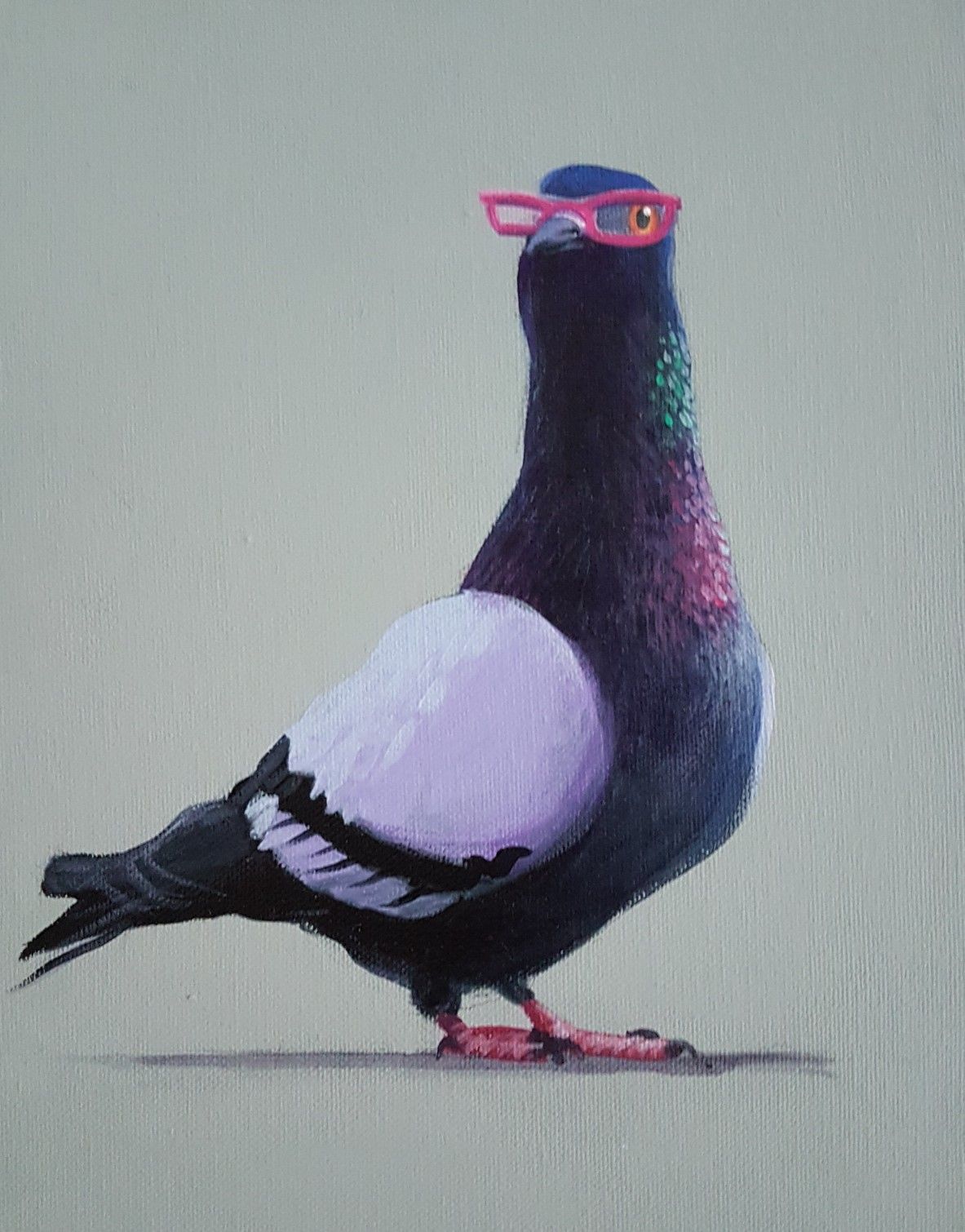 Pigeon with Pink Glasses