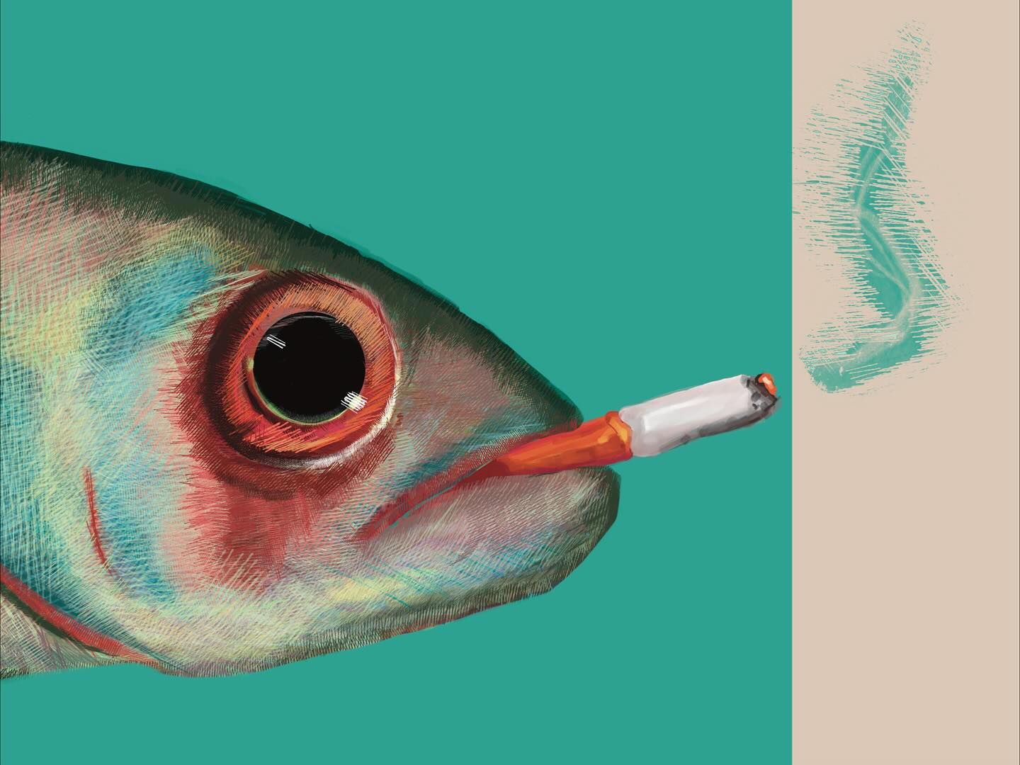 Fish Smoking Cigarette