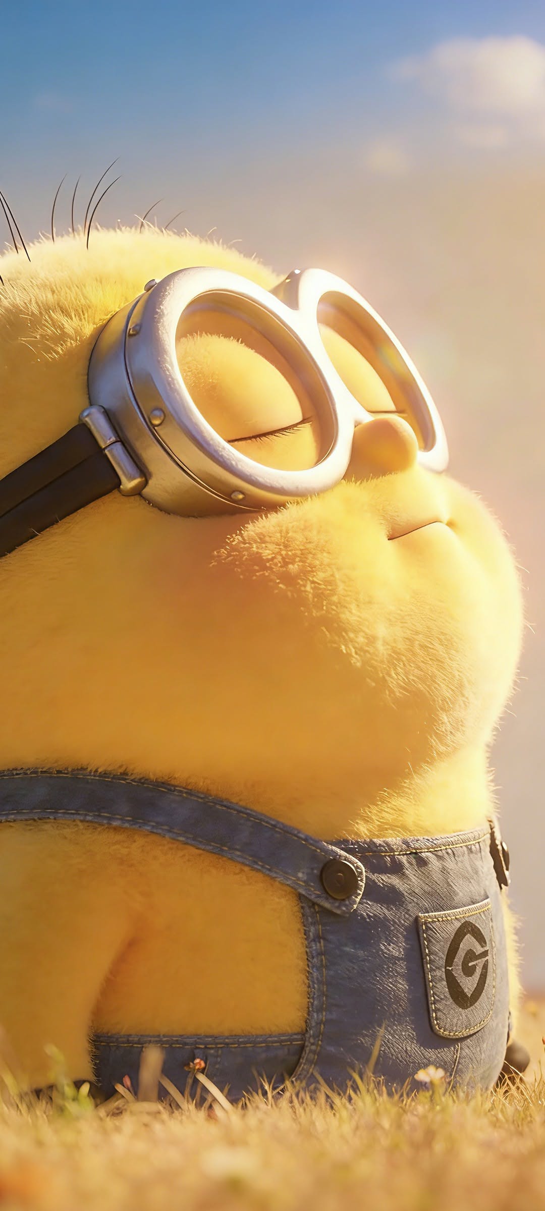 Minion Goggles