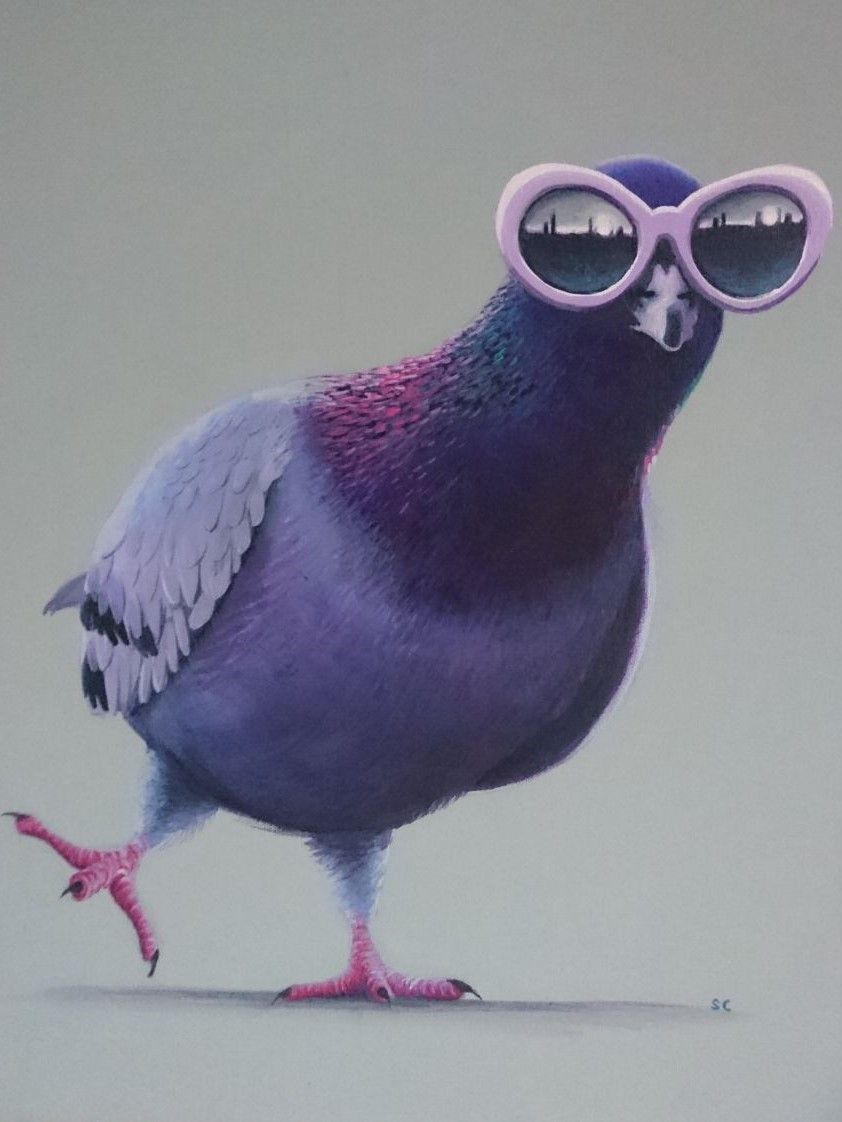 Glasses Pigeon