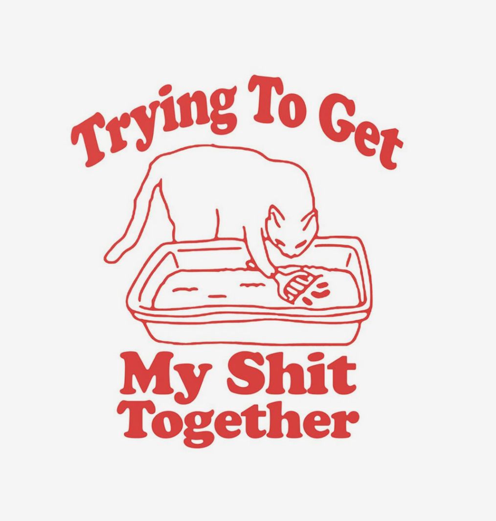 Trying to Get My Shit Together