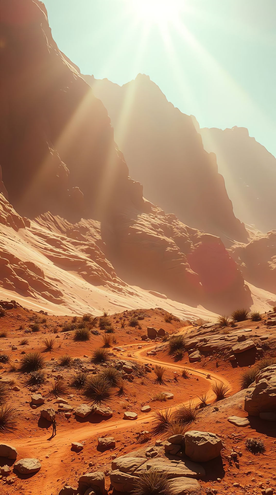 Desert Sunbeams
