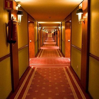Elegant Hotel Corridor