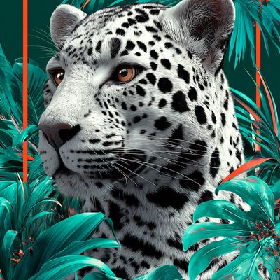 Snow Leopard Amidst Tropical Leaves