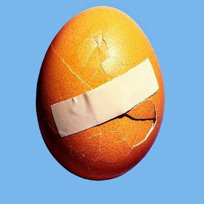 Bandaged Egg