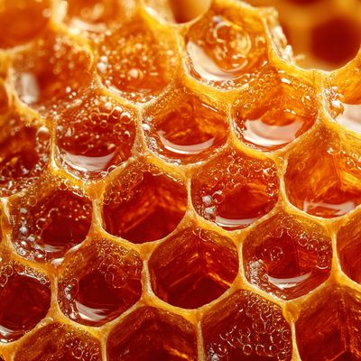 Honeycomb Close-Up