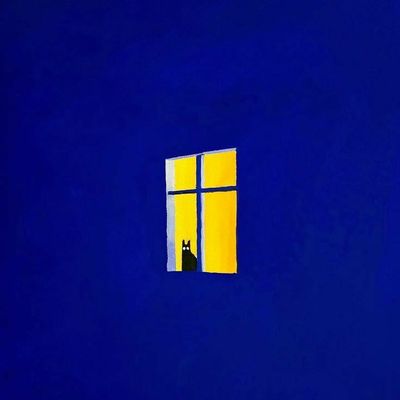 Cat Peeking Through Yellow Window