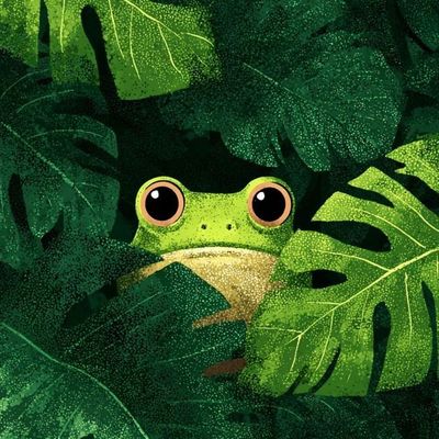 Frog in the Jungle