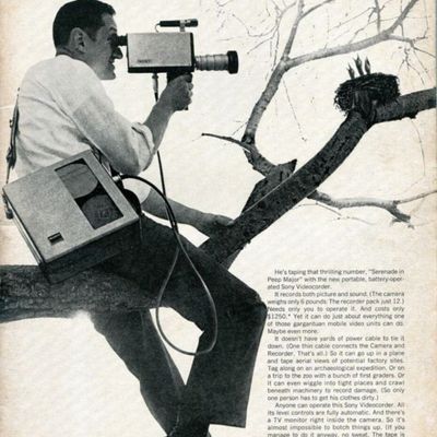 Man Filming Bird in Tree