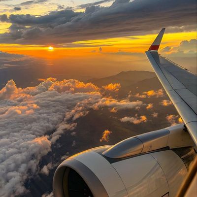 Sunset Flight