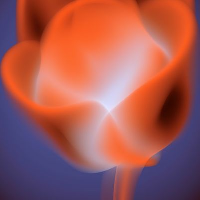 Abstract Flame