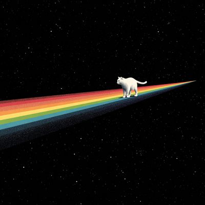Cat on Rainbow