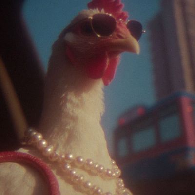 Fashionista Chicken