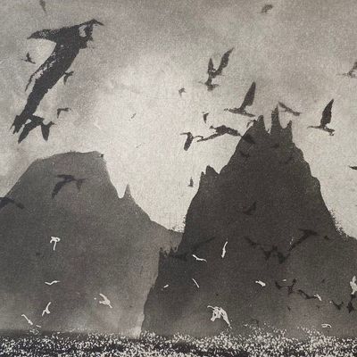 Birds Over Mountains