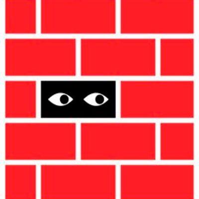 Peeking Eye Through Red Brick Wall