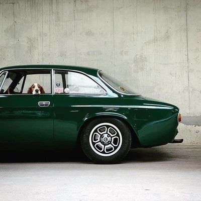 Vintage Green Car with Dog