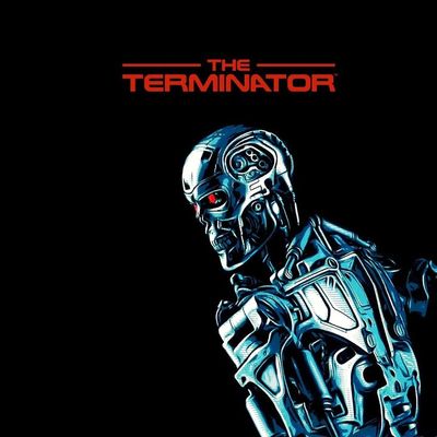 Terminator Robot