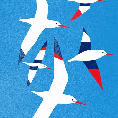 Flock of Birds in Flight