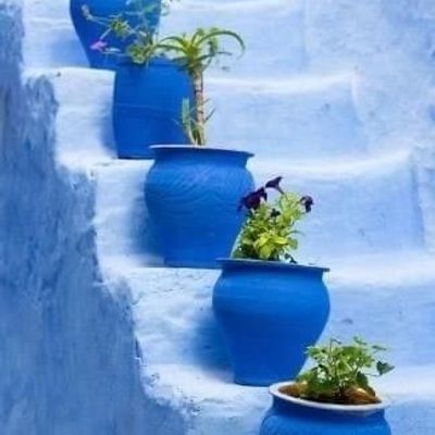 Blue Pots on Snowy Steps blue plants snow steps winter