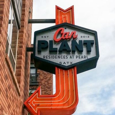 Can Plant Residences at Pearl SATX