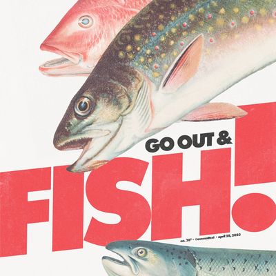 Go Out & Fish!