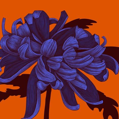 Abstract Purple Flower on Orange