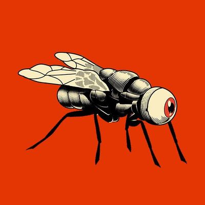 Giant Eyeball Fly fly eyeball surreal orange glowing