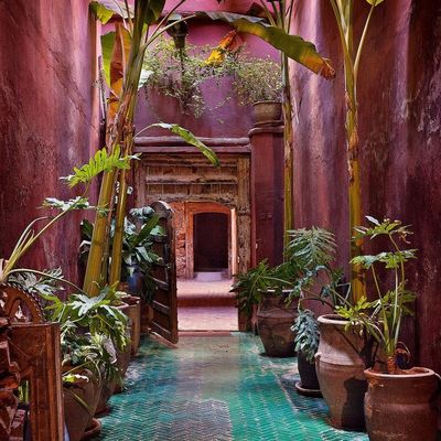 Secret Garden Passage