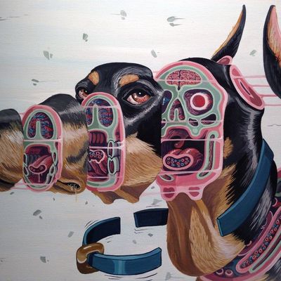 Dog with Brain Anatomy