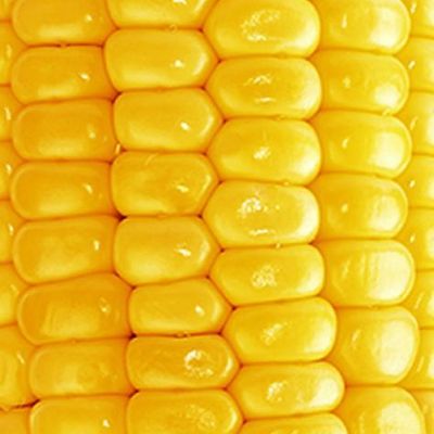 Close-up of vibrant yellow corn kernels