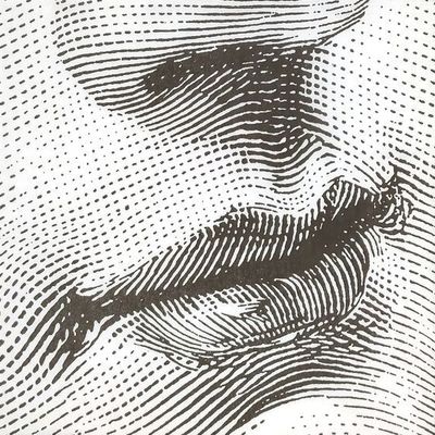 Dotwork Portrait