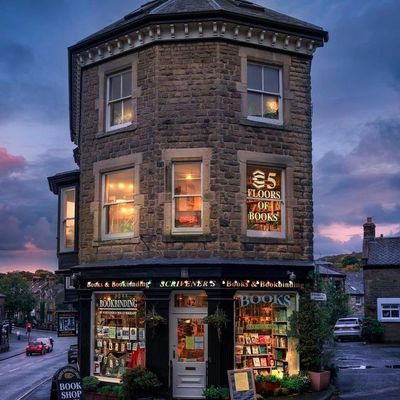 Cozy Bookshop at Twilight bookshop twilight cozy windows warm lights