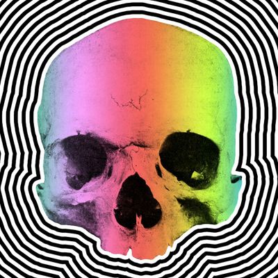 Psychedelic Skull