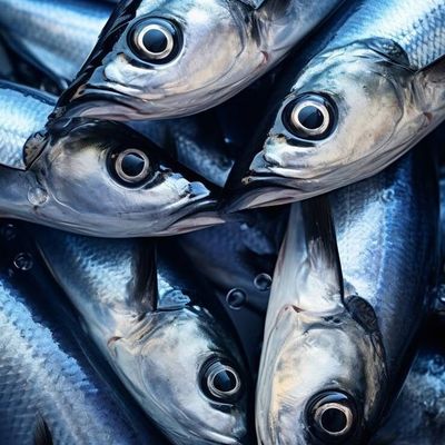 Stacked Fresh Fish Heads
