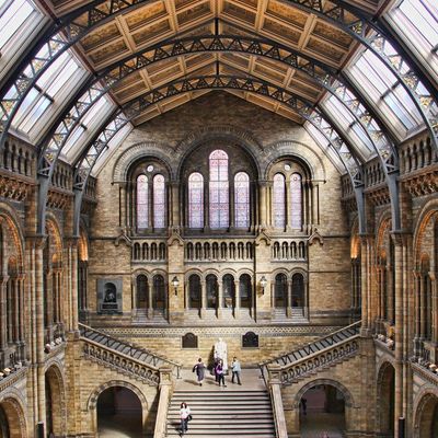 Natural History Museum Interior