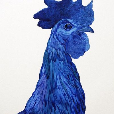 Blue Rooster Portrait