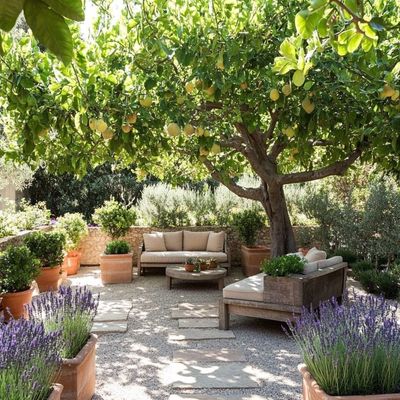 Lavender Garden Retreat