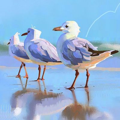 Seagulls on the Shore