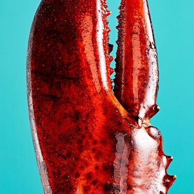 Close-Up of Lobster Claw